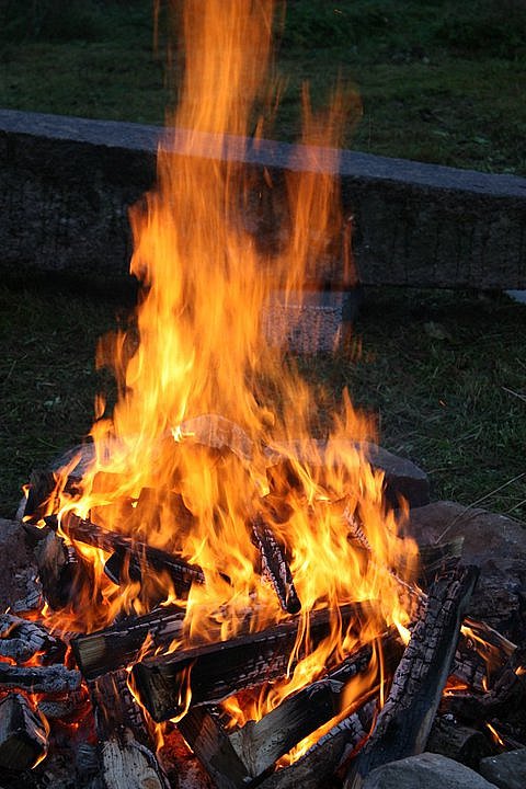 Hoesttreff 2010