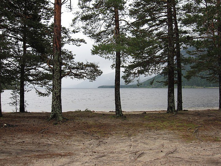 Trollrally 2011