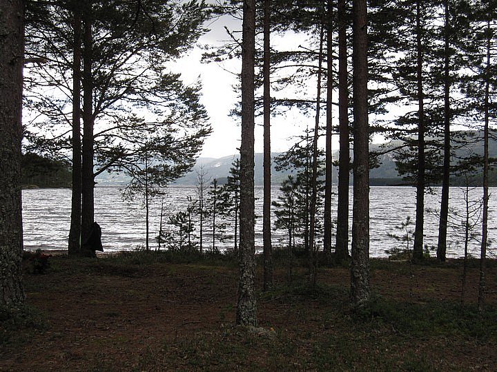Trollrally 2011