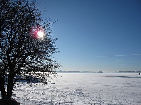 Julebord Stavanger 2010