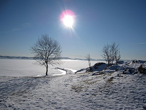 Julebord Stavanger 2010