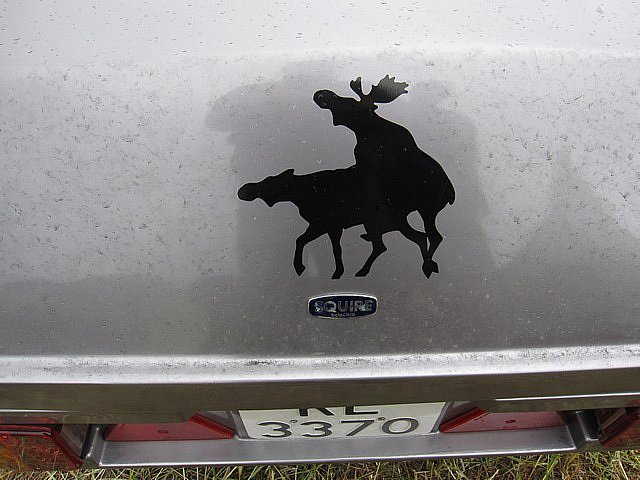 Norgestreff 2010