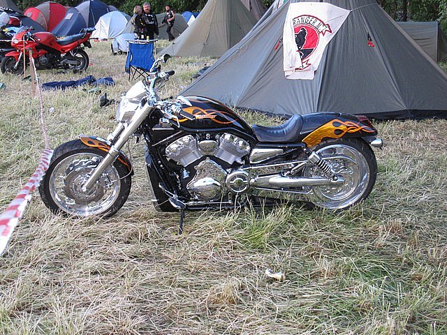 Norgestreff 2010
